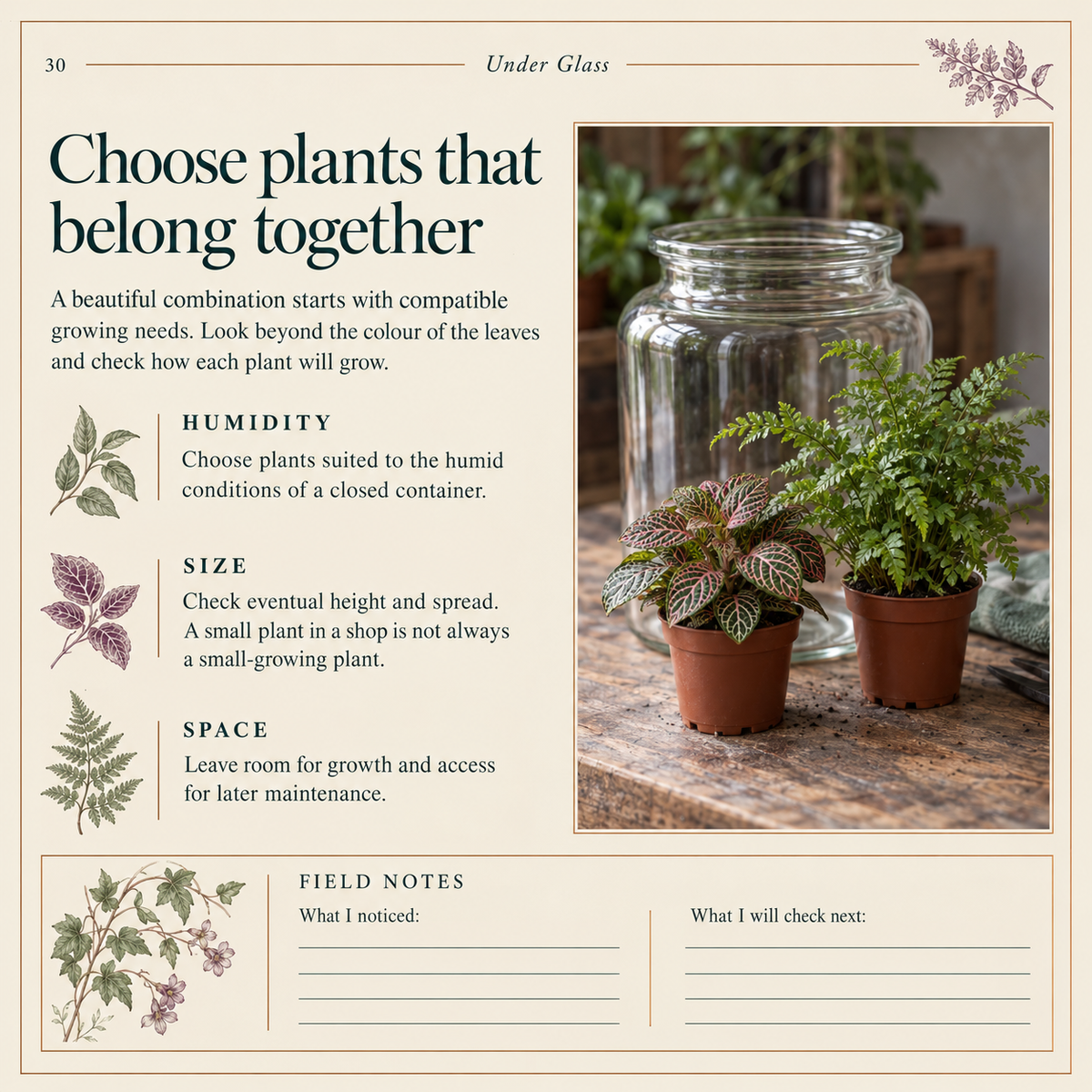 Sample interior page from Under Glass, titled Choose plants that belong together.